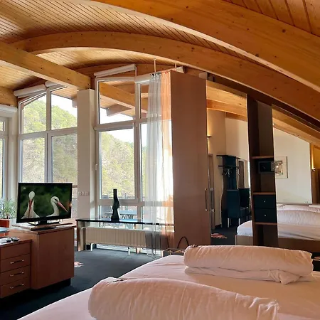 Am Hirschhorn - Wellness - - And 4* Wilgartswiesen