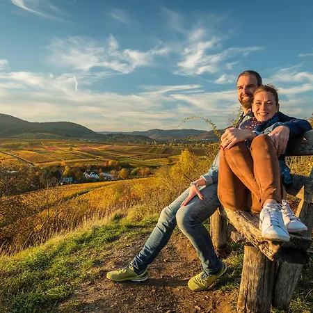 Am Hirschhorn - Wellness - - And Отель 4*