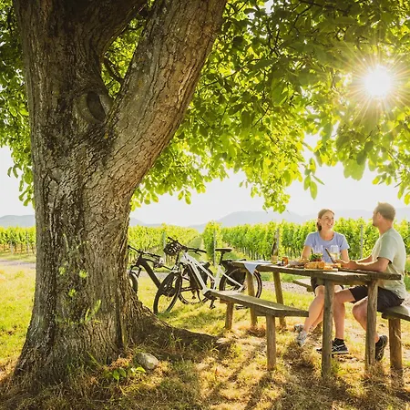 Отель Am Hirschhorn - Wellness - - And 4*