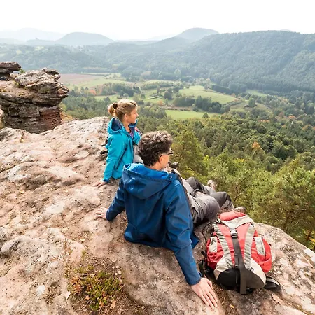 Am Hirschhorn - Wellness - - And Отель Wilgartswiesen