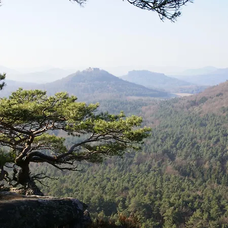 Отель Am Hirschhorn - Wellness - - And