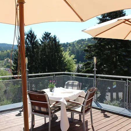 Отель Am Hirschhorn - Wellness - - And Wilgartswiesen