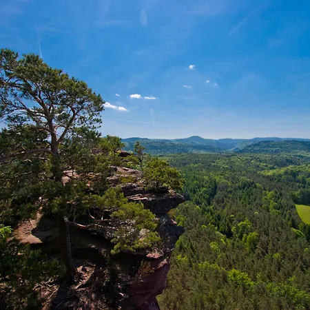 Am Hirschhorn - Wellness - - And 호텔 4*