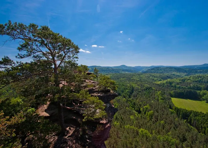 Am Hirschhorn - Wellness - - And Hotel