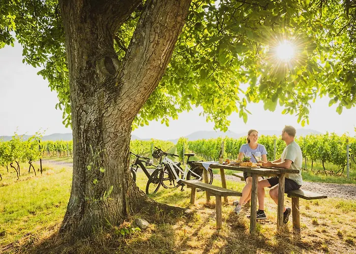 Hotel Am Hirschhorn - Wellness - - And 4*