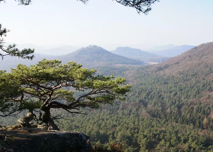 Hotel Am Hirschhorn - Wellness - - And