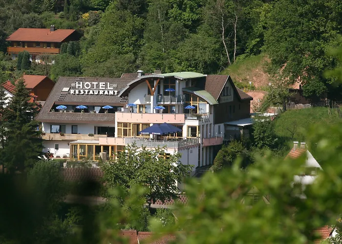 Ξενοδοχείο Am Hirschhorn - Wellness - - And Wilgartswiesen